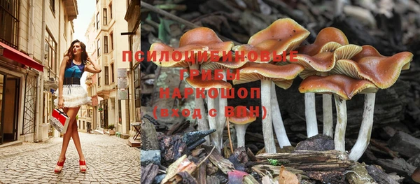 альфа пвп Беломорск